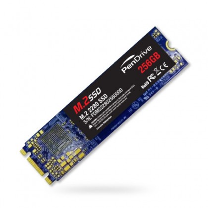 PenDrive M.2 2280 256GB 560MB/s R 465MB/s W M.2 SATA SSD